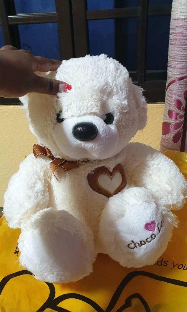 teddy bear in home