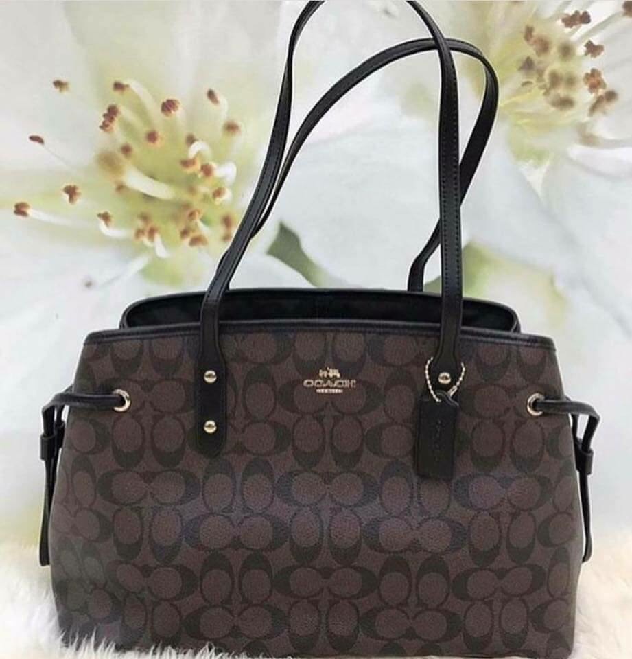 coach neverfull bag