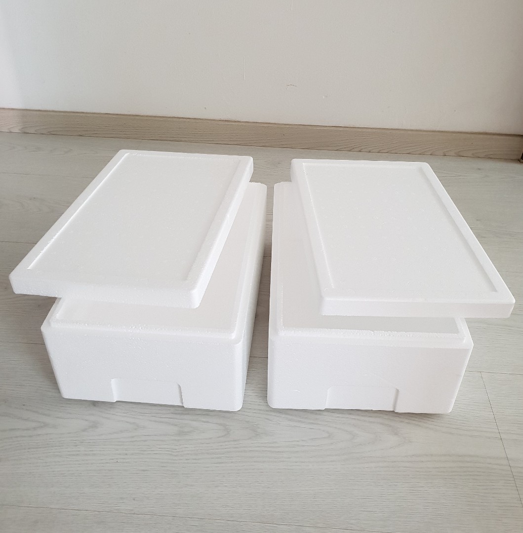 2 Boxes Styrofoam Foam Cooler Box Used To Bring Home Ice Cream From Udders Only Everything Else On Carousell