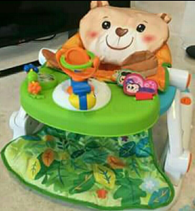 winfun sit to walk activity centre