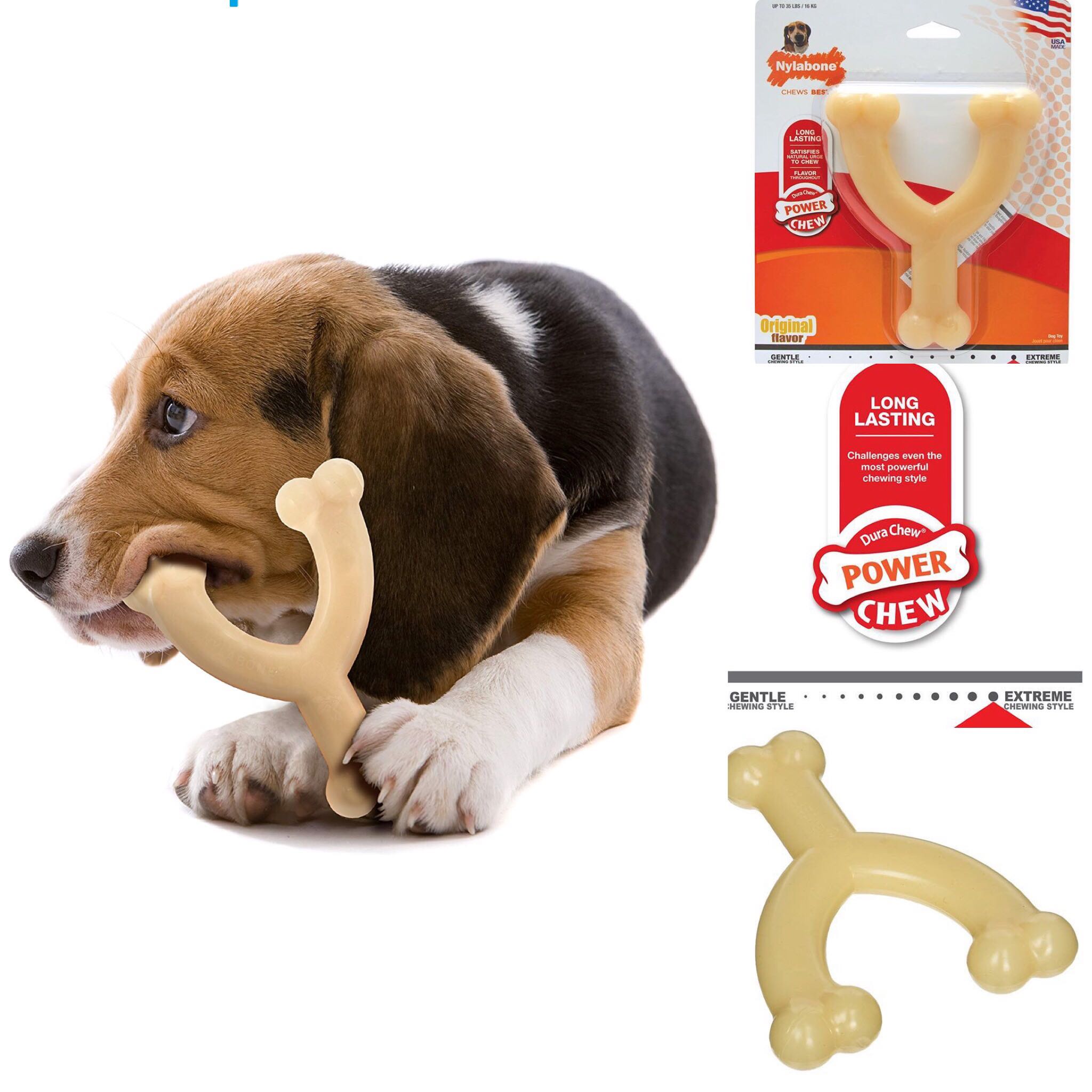 Wishbone Original Dog Chew Toy Wow Blog