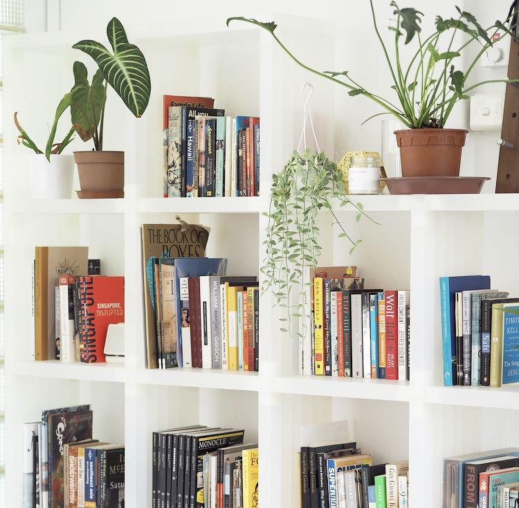 Cubitec Bookshelf, Furniture & Home Living, Furniture, Shelves, & Racks on Carousell