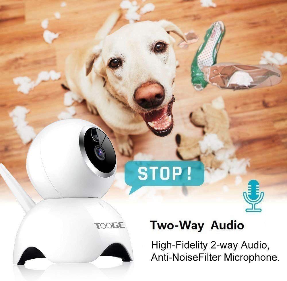 Tooge shop pet cam