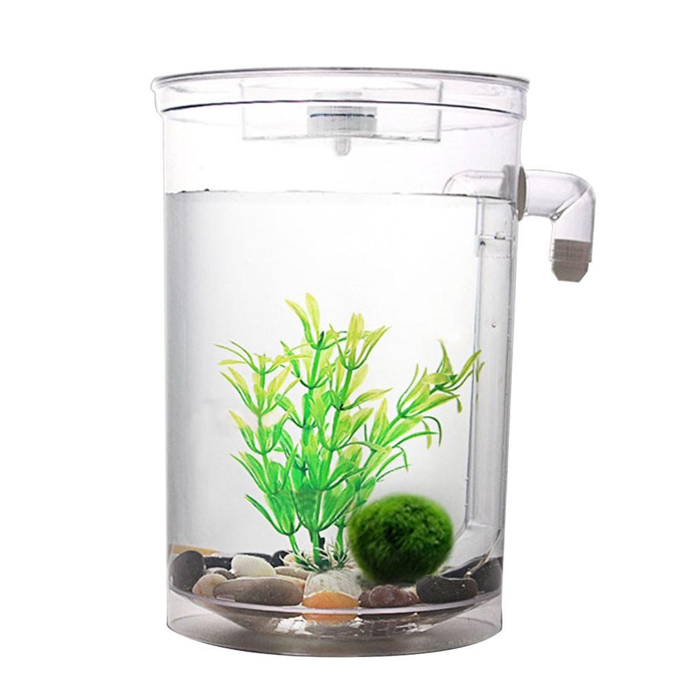 Self cleaning fish bowl hot sale