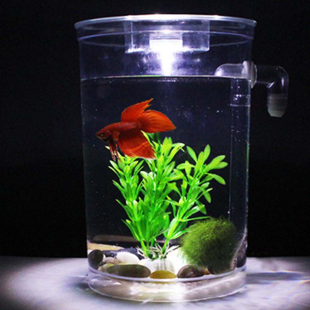Small Round Self-cleaning Fish Tank Aquarium with LED Light Pebbles for ...