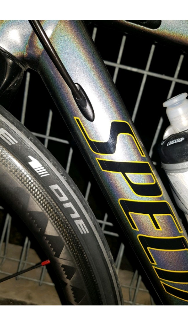 allez sprint peter sagan