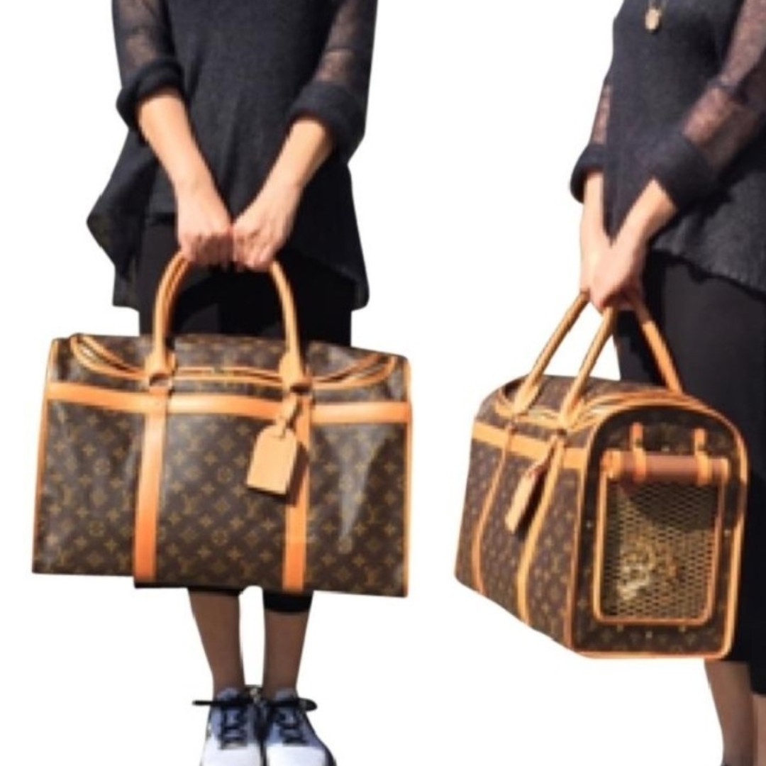 Lv cat carrier on sale
