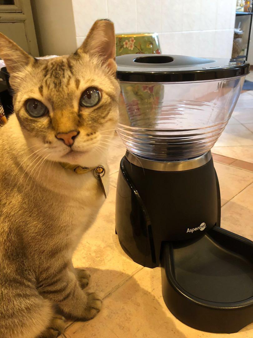 LIKE NEW!! ASPEN PET LEBISTRO PROGRAMMABLE FOOD DISPENSER, Pet Supplies ...