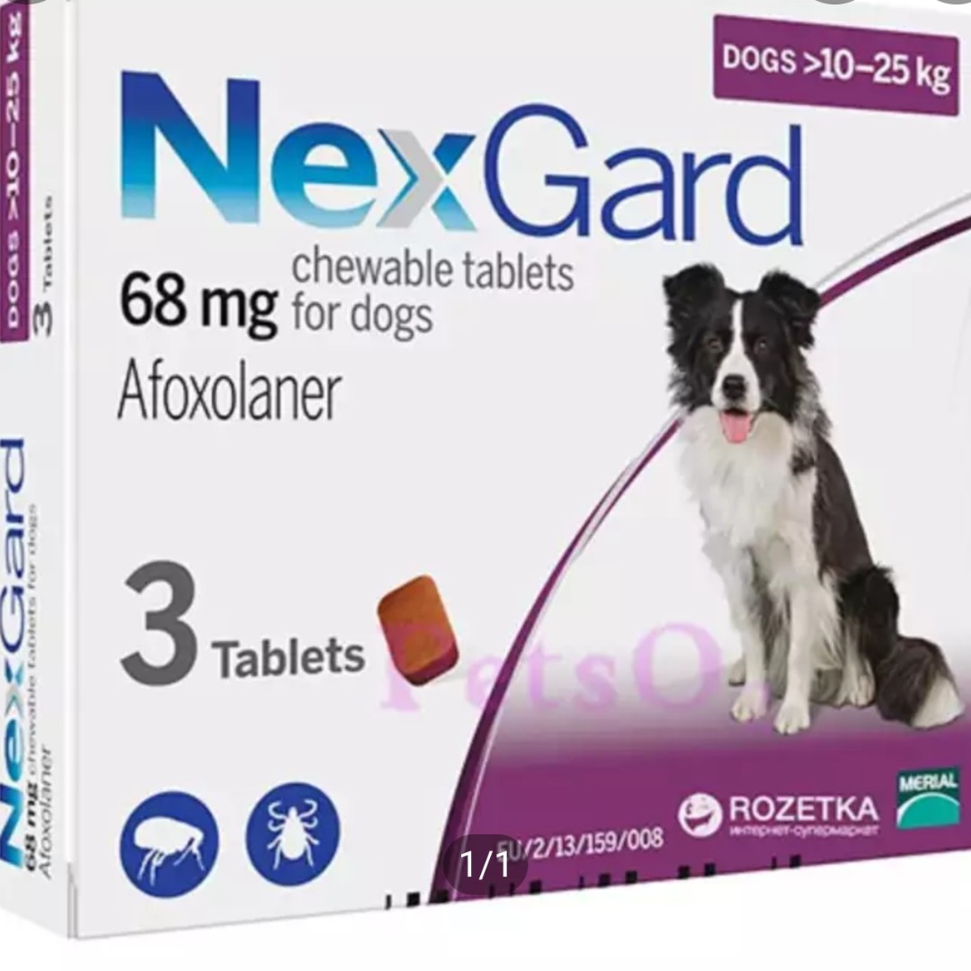 Nexgard - 3 Pack, Pet Supplies, Homes & Other Pet Accessories on Carousell