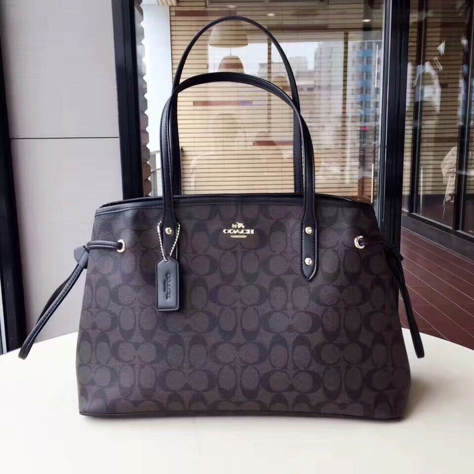 coach neverfull bag