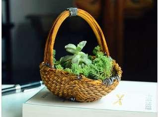Decorative Pot/Storage Bamboo Basket