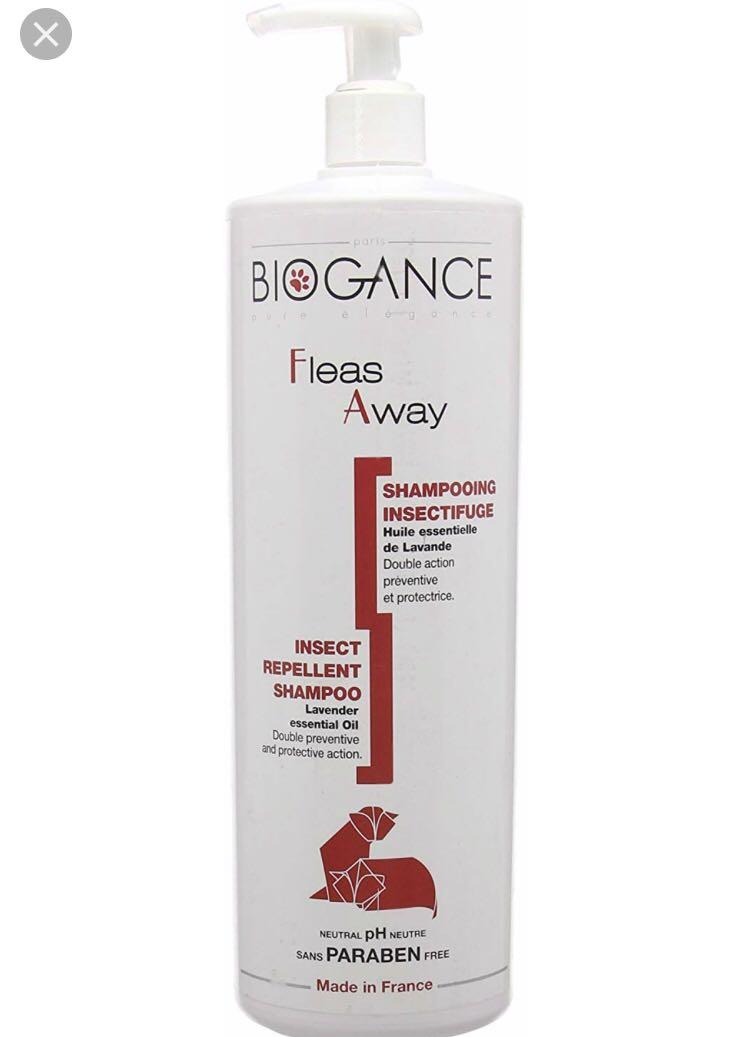 biogance cat shampoo