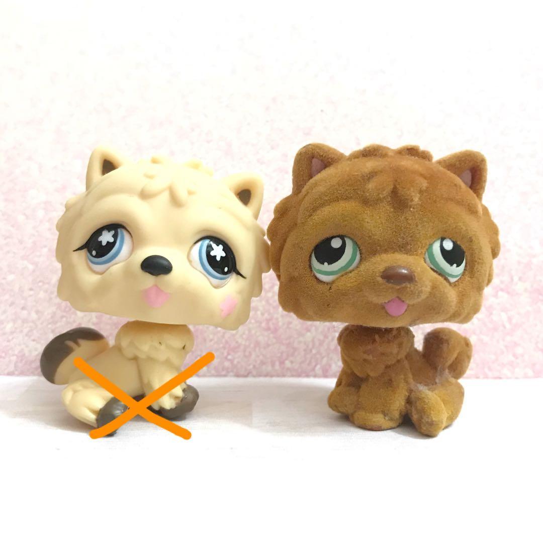 lps chow chow