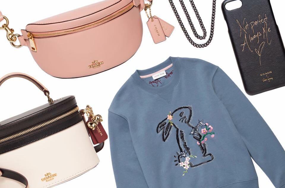 Coach bunny sweatshirt hotsell
