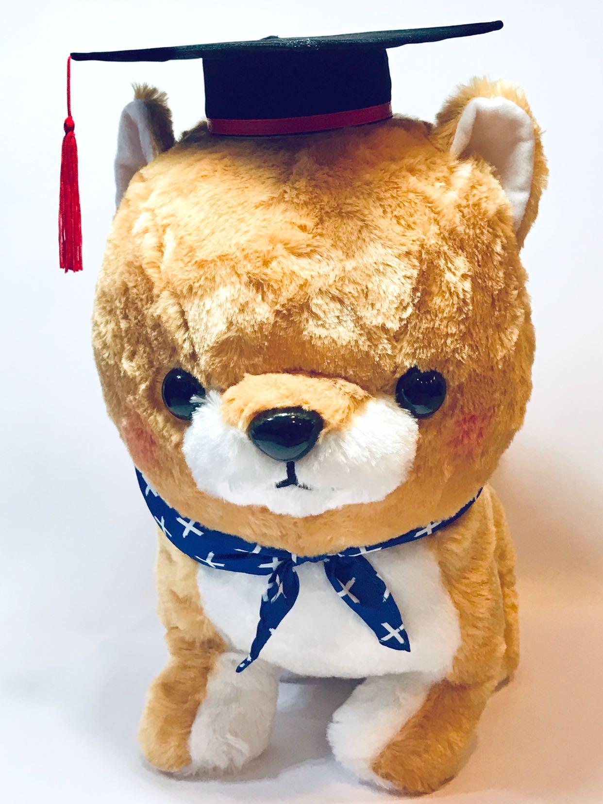 graduation dog plush