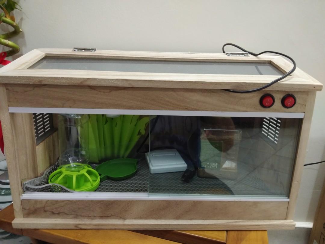 tortoise house accessories