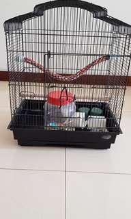 Bird Cage