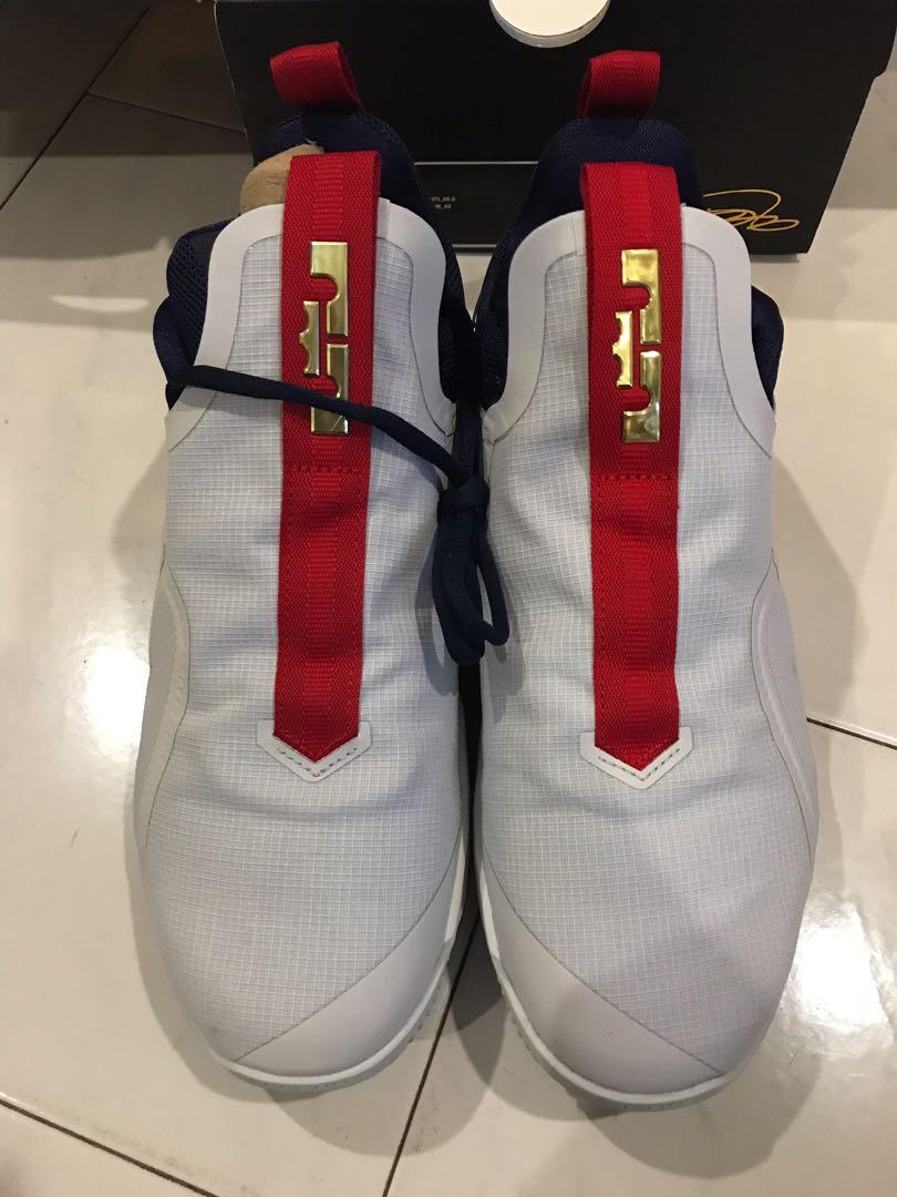 Lebron ambassador sale x1