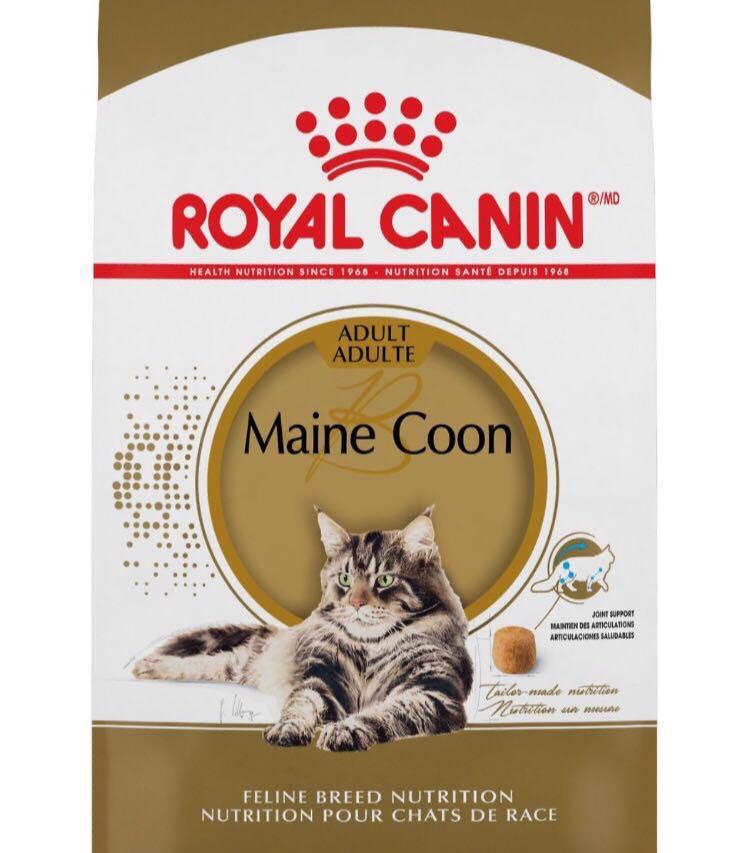 royal canin mainecoon 10kg dry cat food