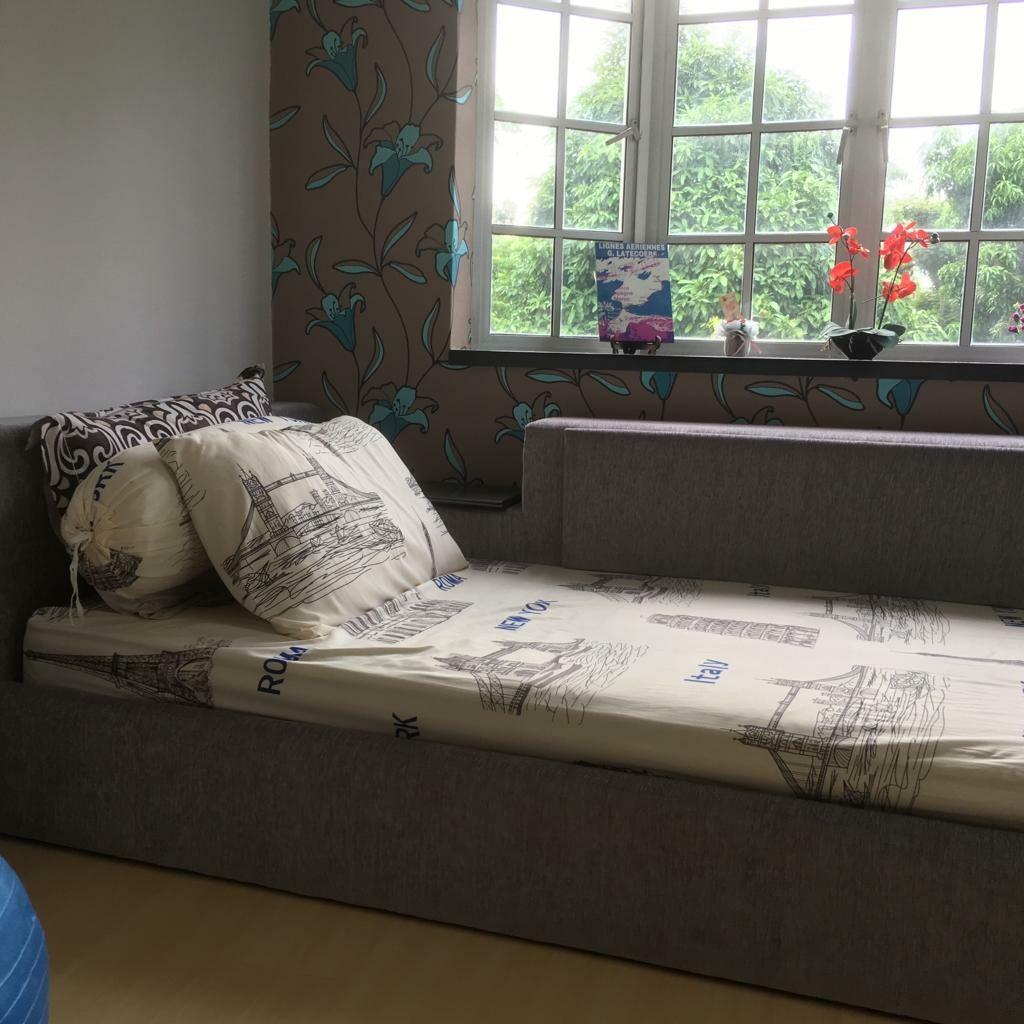Sofa Bed With Storage Compartment Single Furniture Beds Sofa Bed With Storage Compartment