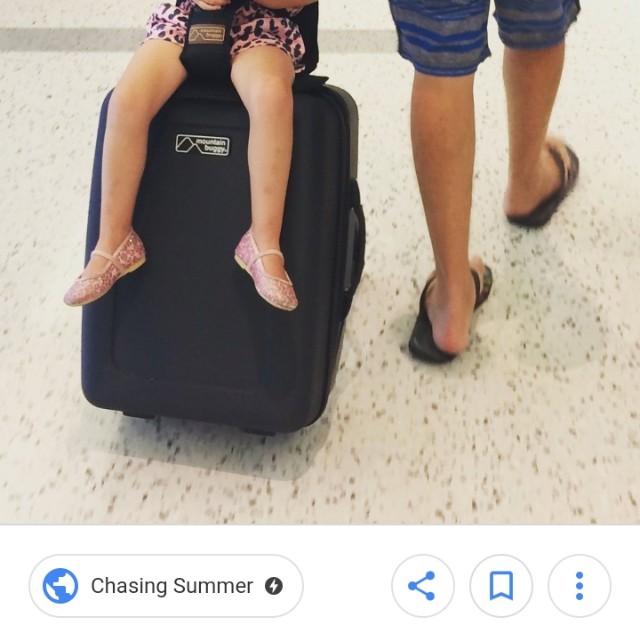 mountain buggy case