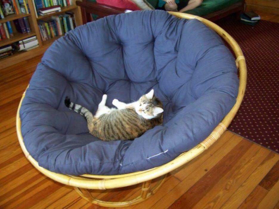 Papasan deals chair big