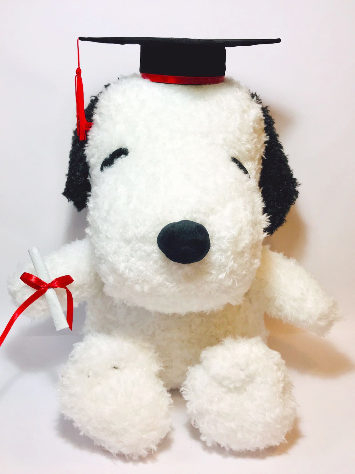 snoopy graduation plush