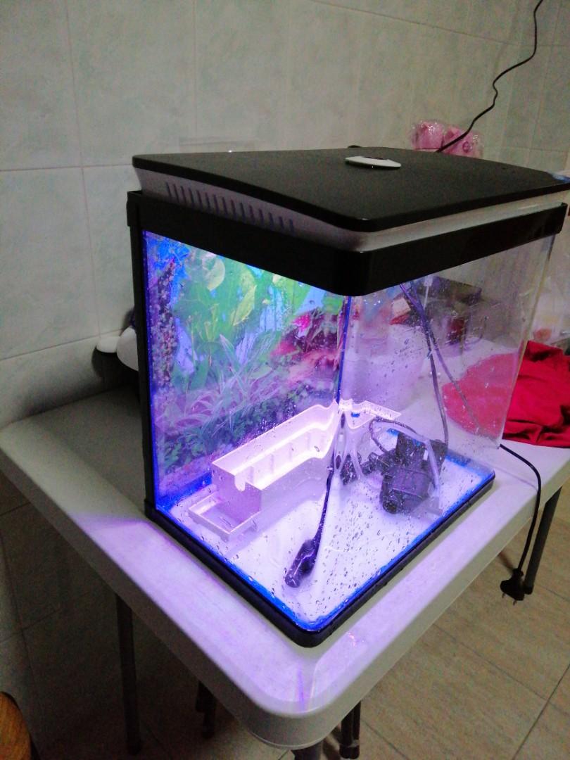 Fish Tank, Pet Supplies, Homes & Other Pet Accessories on Carousell