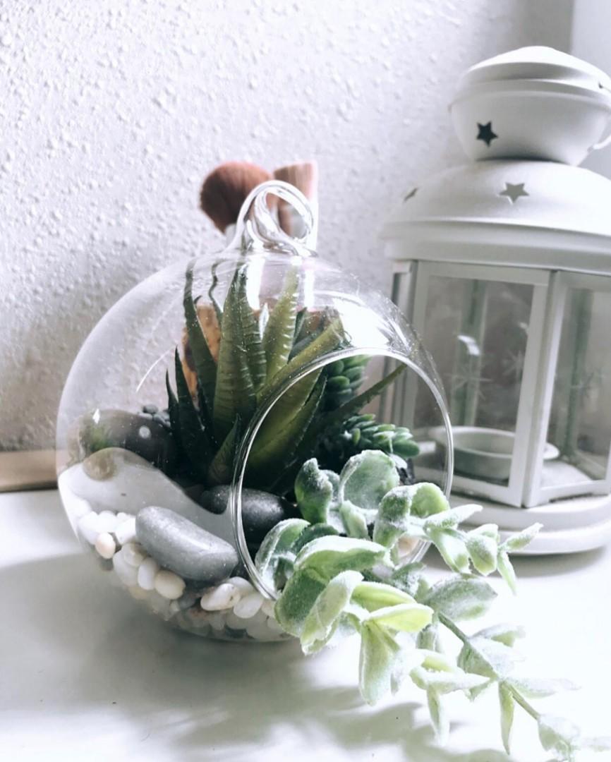 Affordable Succulent Glass Globe Terrarium Planters with Artificial