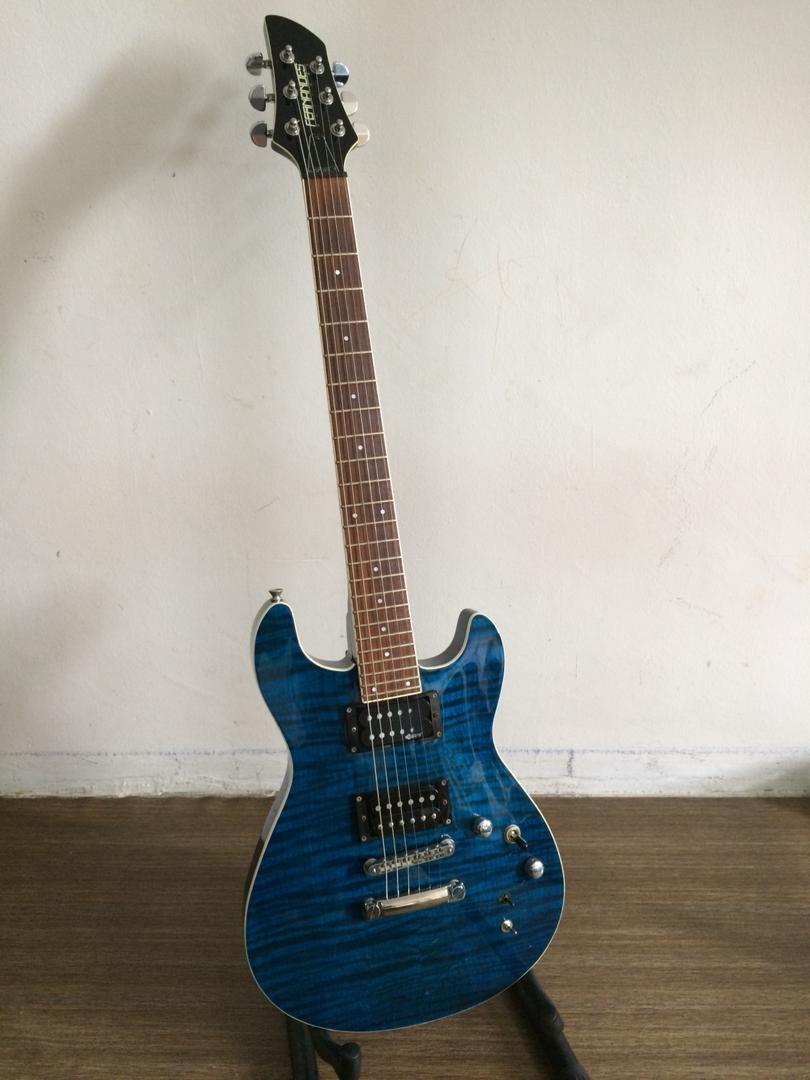 フェルナンデス APG-85S サスティナー FERNANDES APG-85S／フェルナンデス／サスティナー／エレキギター