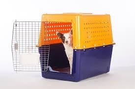 pp60 dog crate
