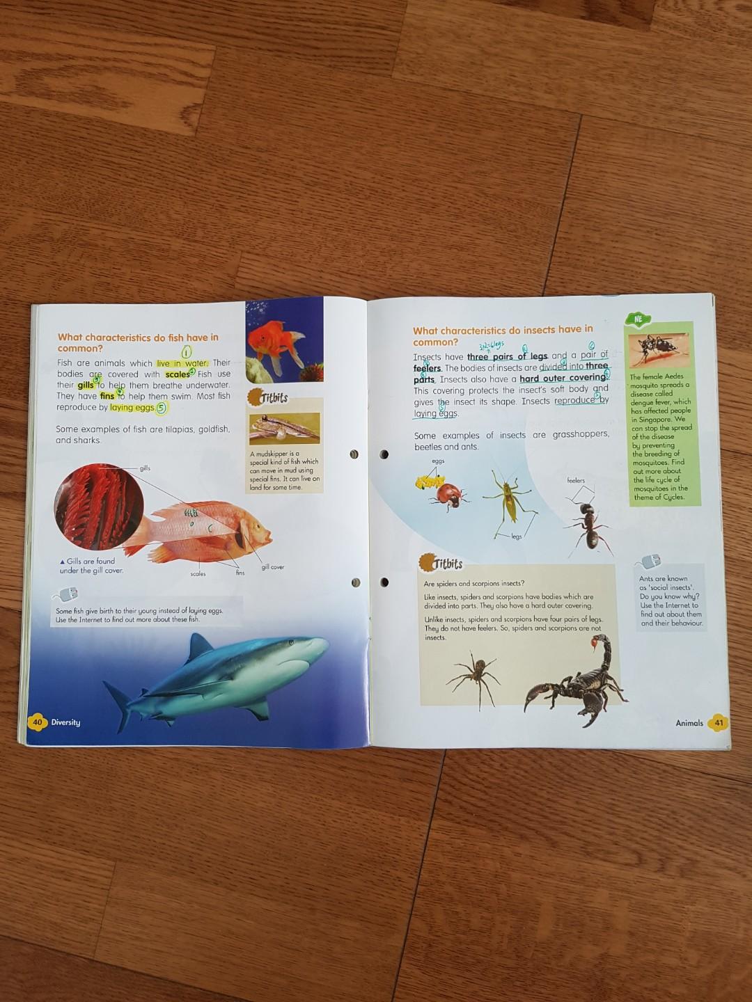 Primary 3&4 Science textbook bundle, Hobbies & Toys, Books & Magazines ...