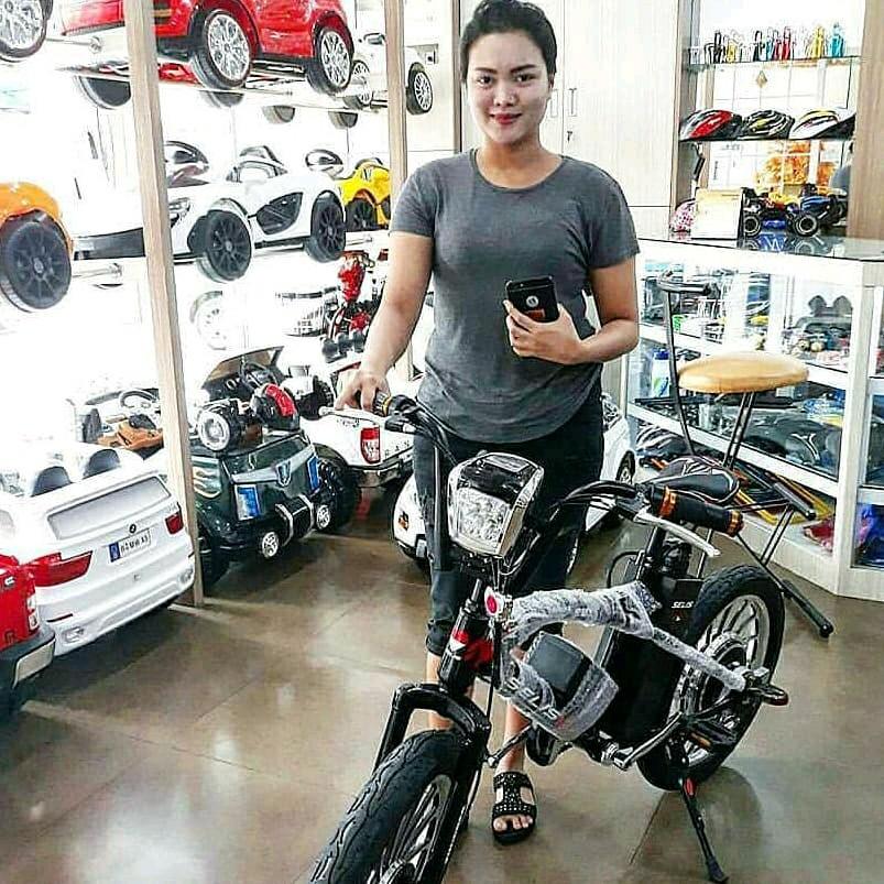 ReadY Sepeda Rama Lingkungan,Sepeda Listrik Sistem Cas Lengkap Dengan