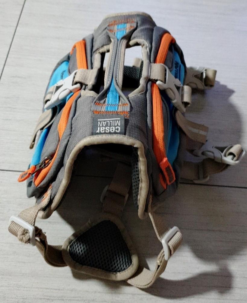 Cesar Millan Backpack (S), Pet Supplies, Homes & Other Pet Accessories