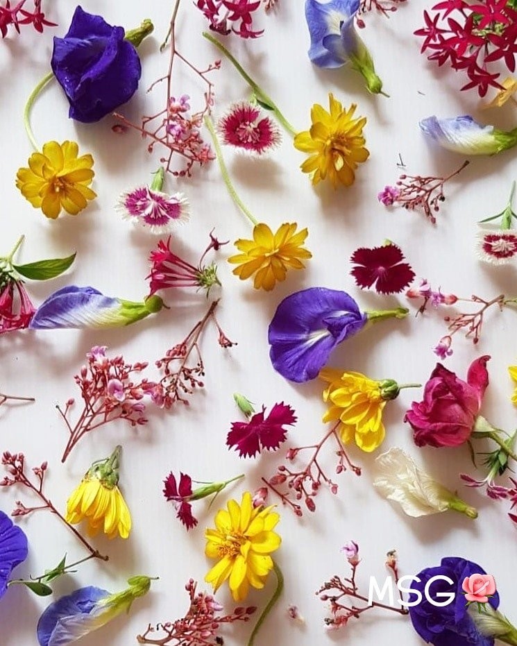 FRESH EDIBLE FLOWERS / GARNISHES, Food & Drinks, Fresh Produce on Carousell
