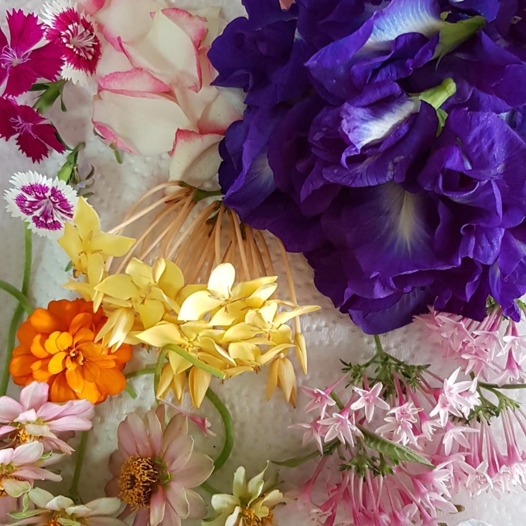 FRESH EDIBLE FLOWERS / GARNISHES, Food & Drinks, Fresh Produce on Carousell