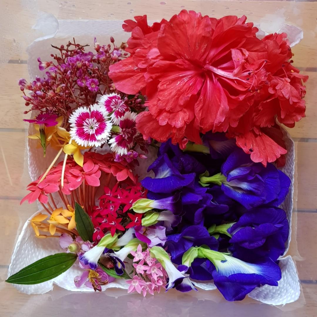 FRESH EDIBLE FLOWERS / GARNISHES, Food & Drinks, Fresh Produce on Carousell