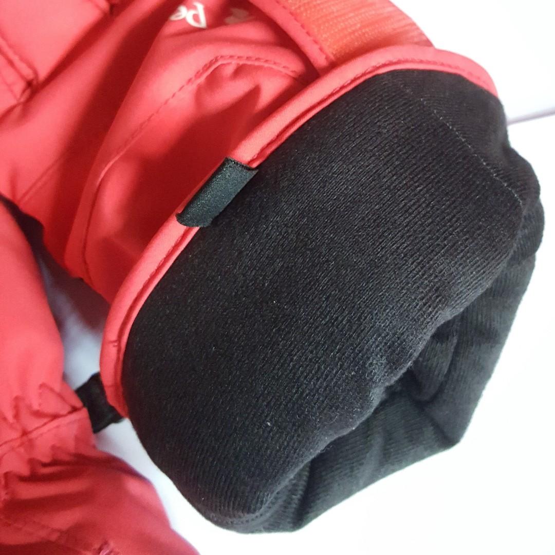 peak performance ski bag