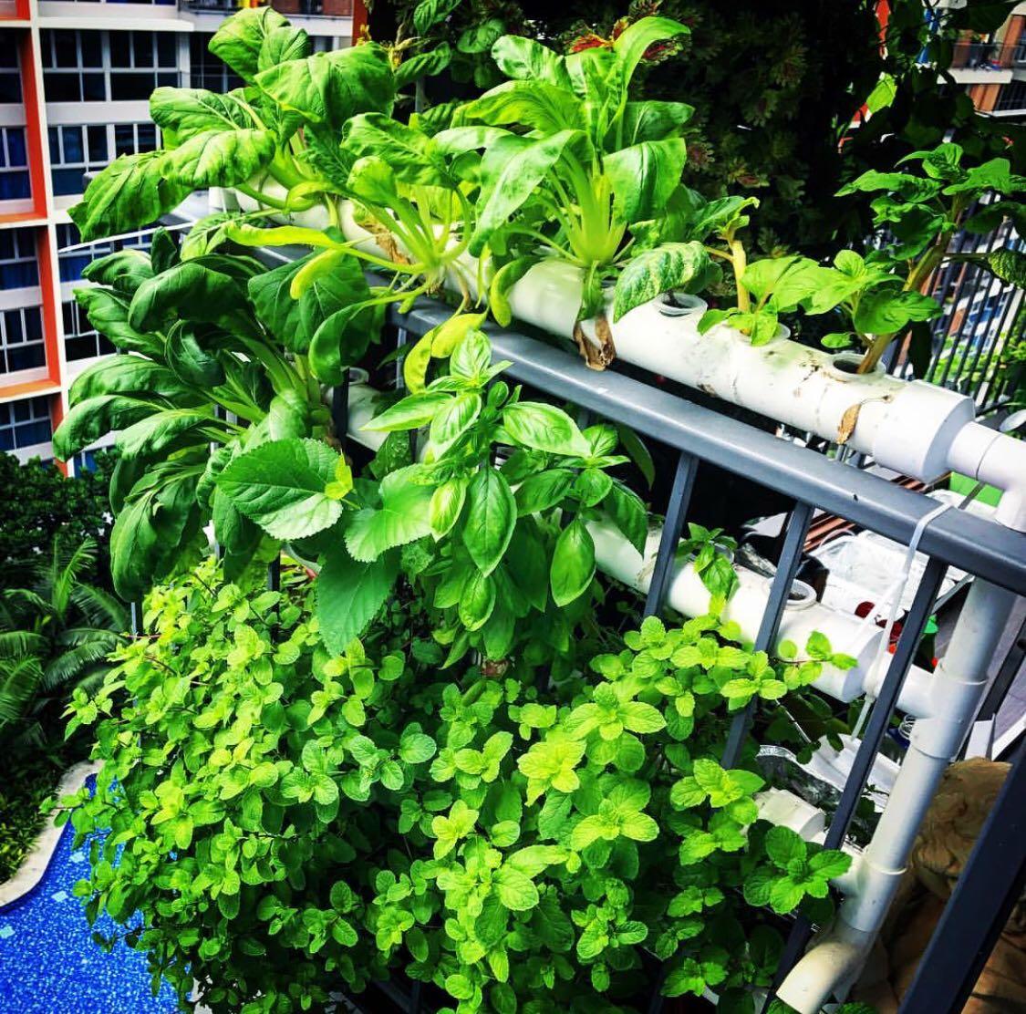 36pot Hydroponics Nft System Diy Aeroponics Aquaponics Gardening