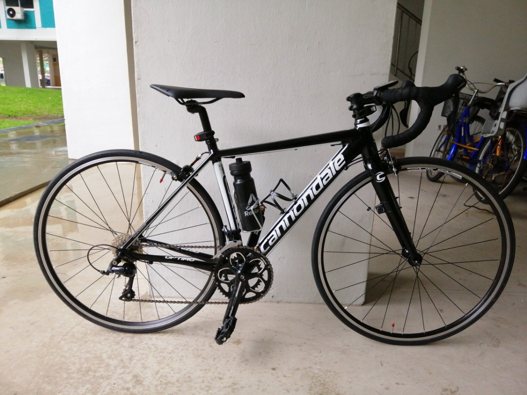 cannondale size 44