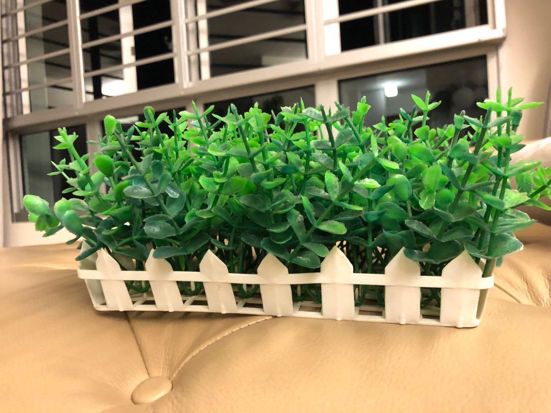 Decorative Plants For Home Decor Design Craft Others On Carousell