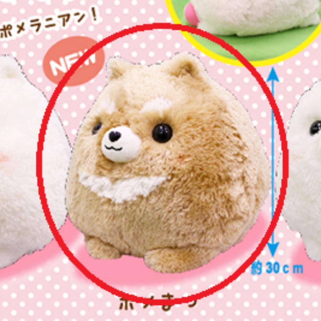 Amuse pomeranian online