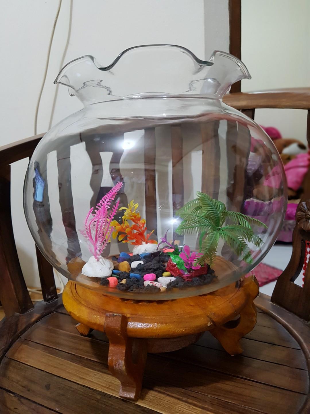 1 Set Aquarium Bulat Kaca 12liter Pet Supplies Accessories On