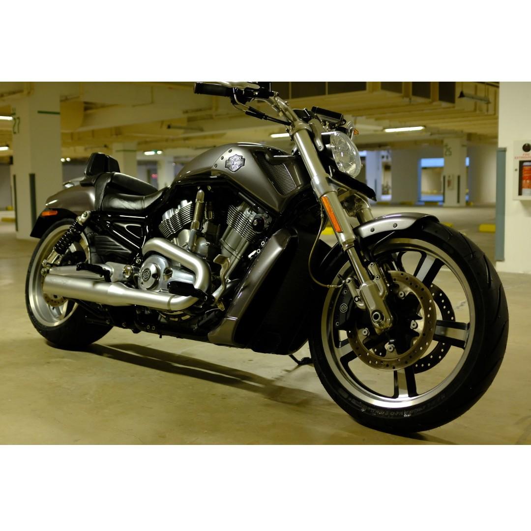 Harley Davidson VRSCF VROD Muscle, Motorcycles, Motorcycles for Sale ...