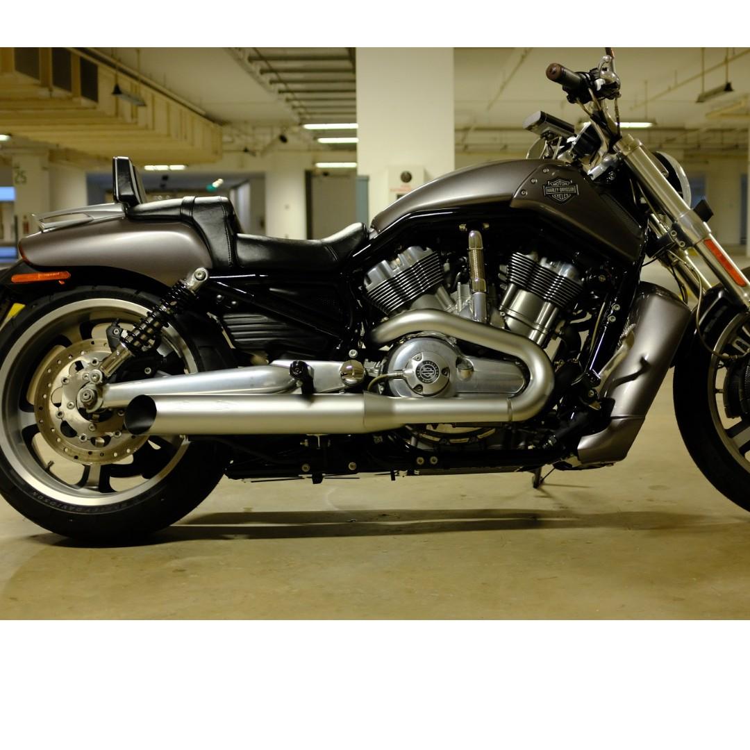 Harley Davidson VRSCF VROD Muscle, Motorcycles, Motorcycles for Sale ...