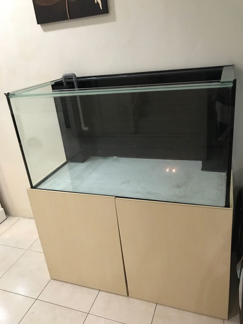 Aquarium 4x2x2, Pet Supplies, Homes & Other Pet Accessories on Carousell