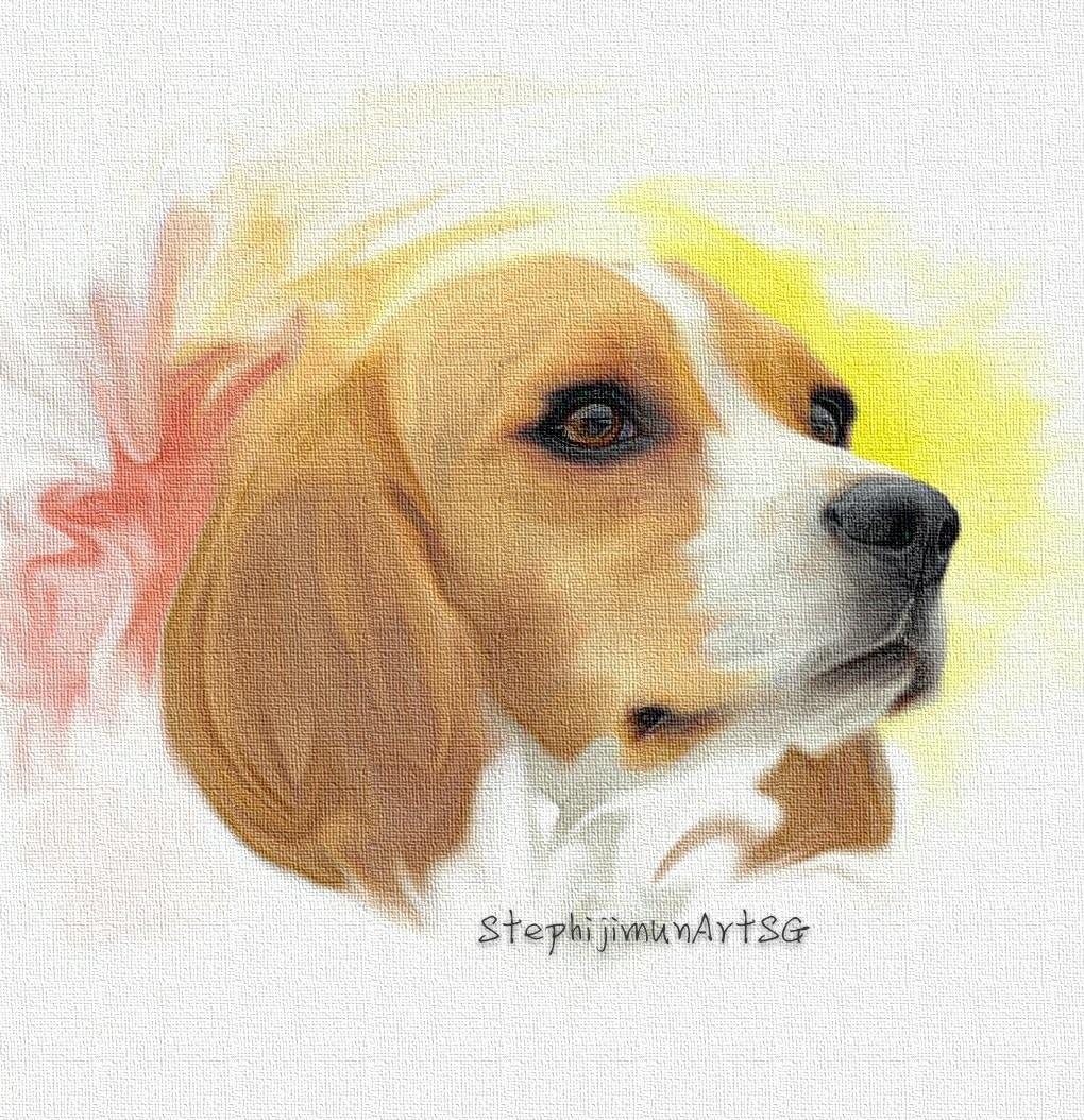 Beagle Portrait Cute Dog Puppy Painting Head Portrait