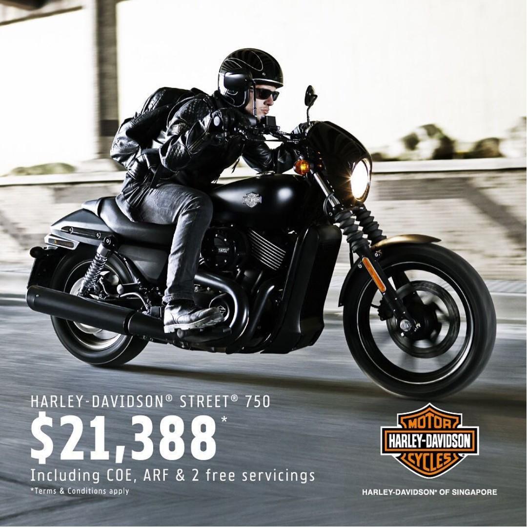 harley davidson street 750 for sale near me