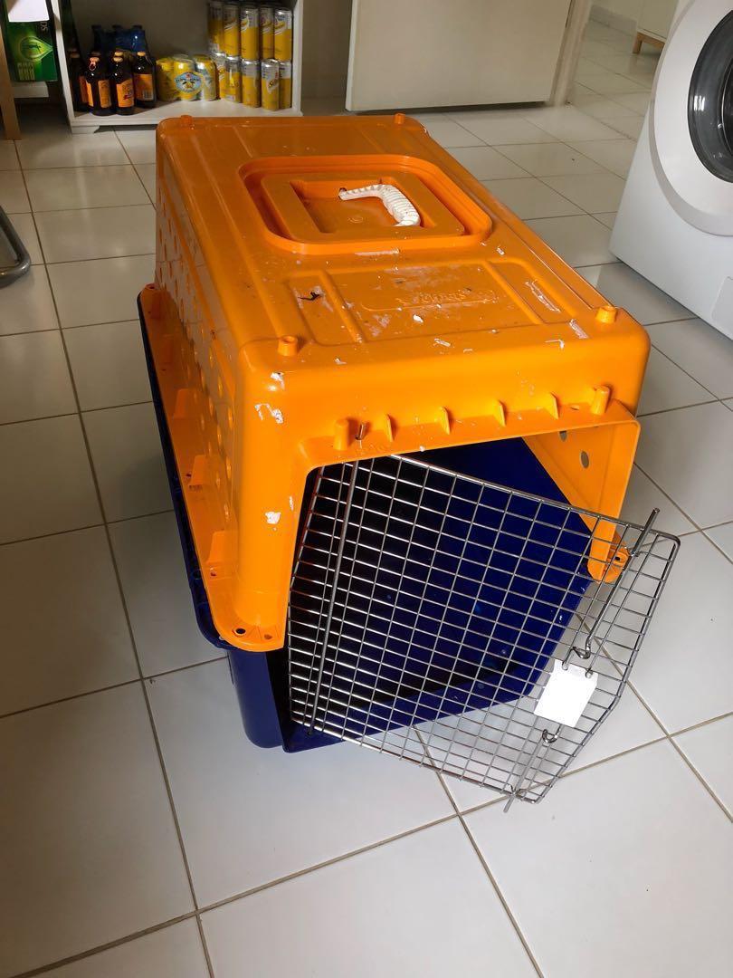 IATA approved Travel crate for cat / small dog, Pet Supplies, Homes