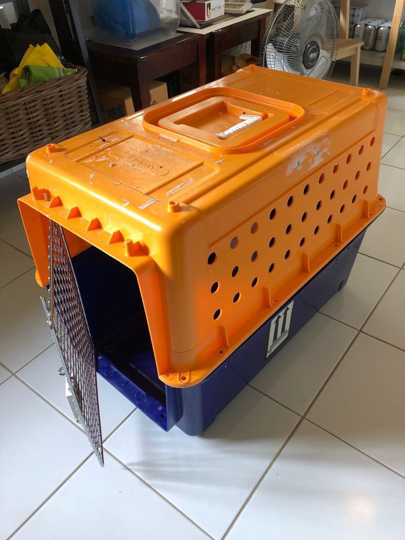IATA approved Travel crate for cat / small dog, Pet Supplies, Homes